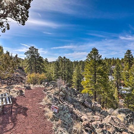 Quaint Williams Cabin Near Grand Canyon المظهر الخارجي الصورة