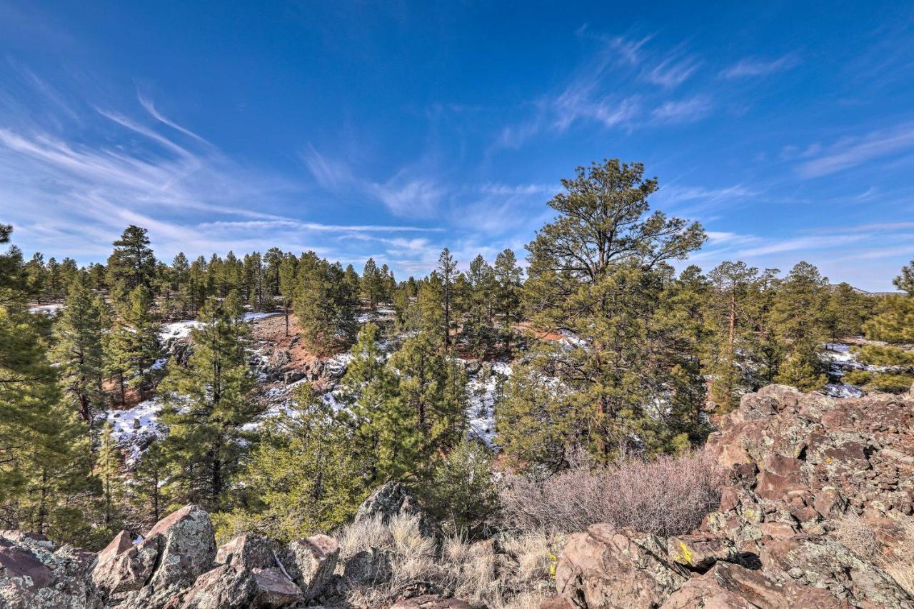 Quaint Williams Cabin Near Grand Canyon المظهر الخارجي الصورة