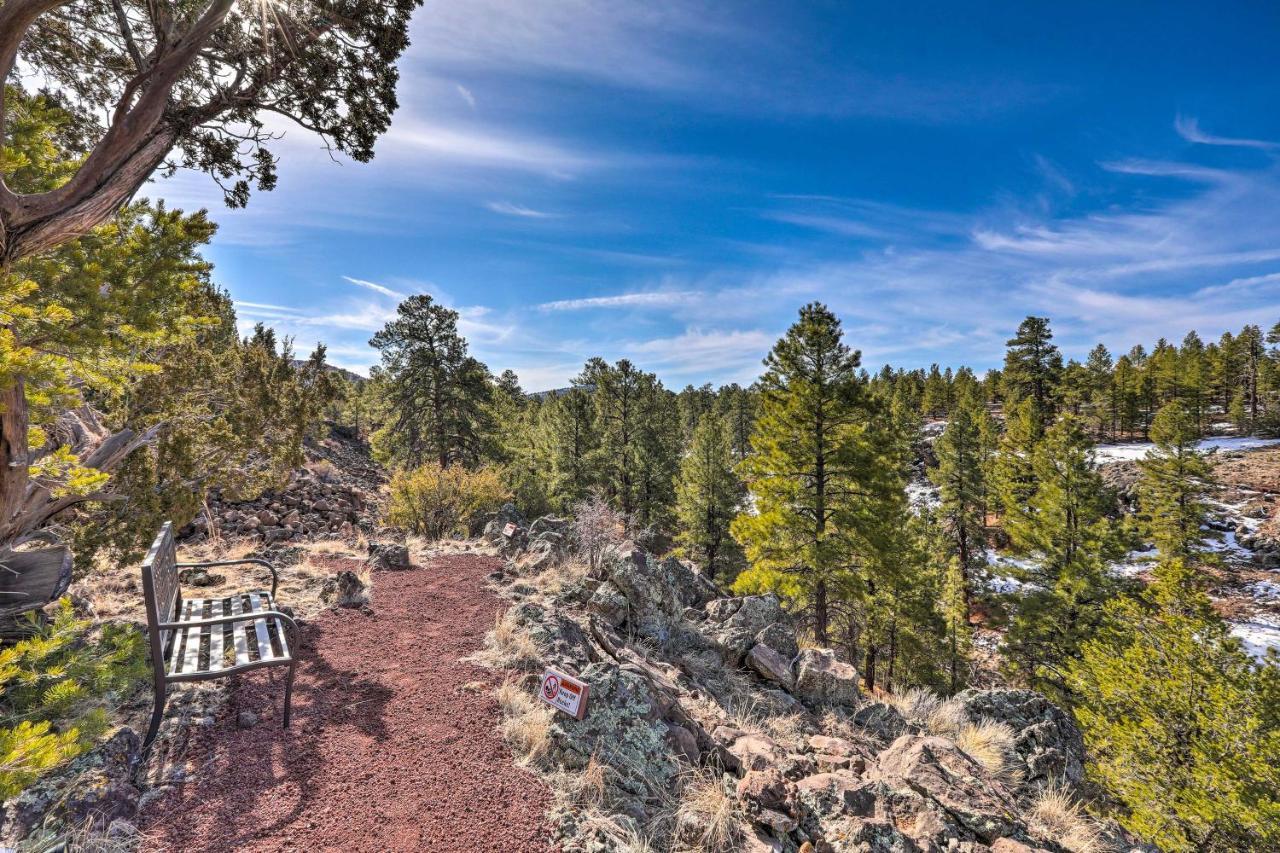 Quaint Williams Cabin Near Grand Canyon المظهر الخارجي الصورة